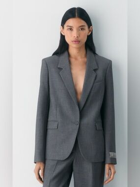 Aritzia Babaton Producer Blazer